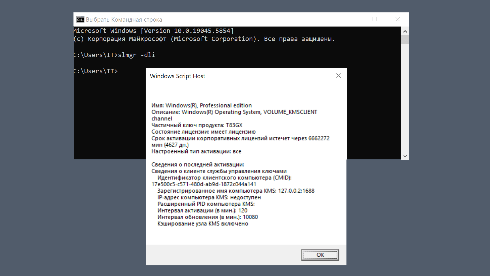 Ввод команды slmgr /dli